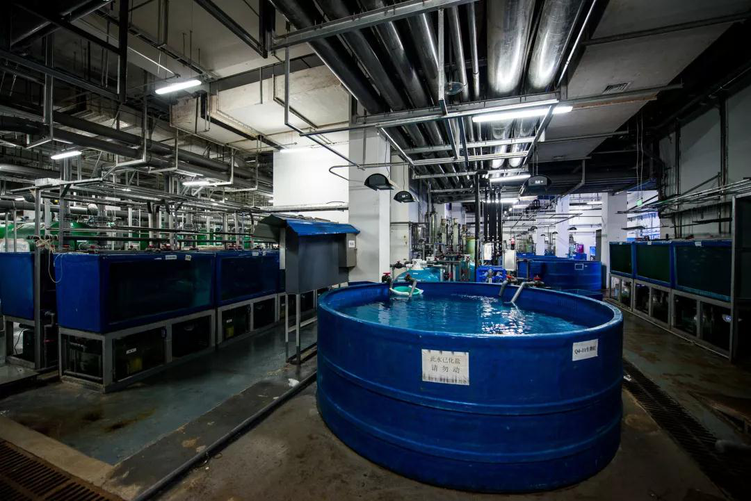 蠕動泵(beng)用于克服三種(zhong)廢水問題